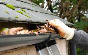 gutter cleaning Chesterton